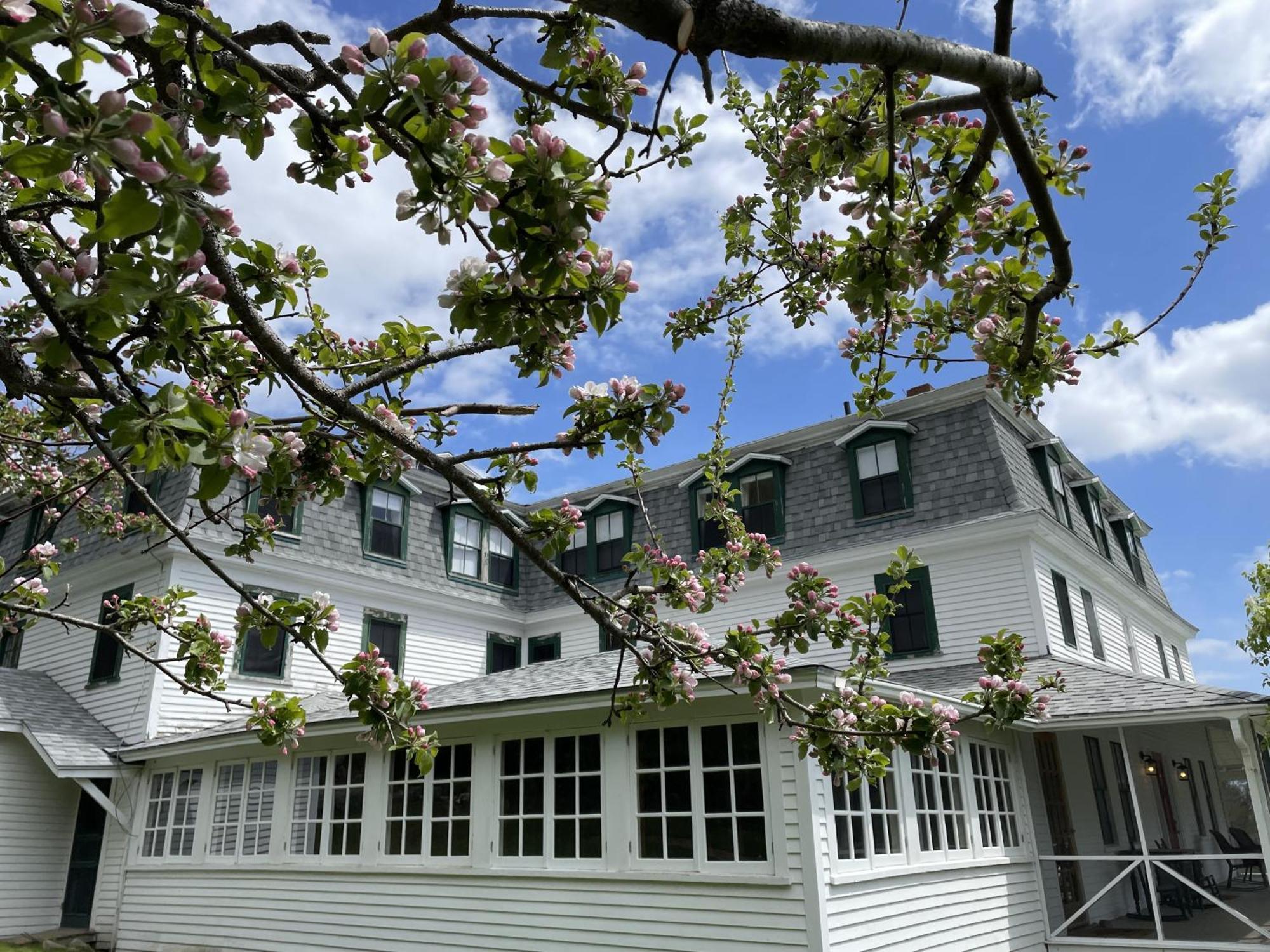 Oakland House Seaside Inn & Cottages Brooksville Eksteriør bilde